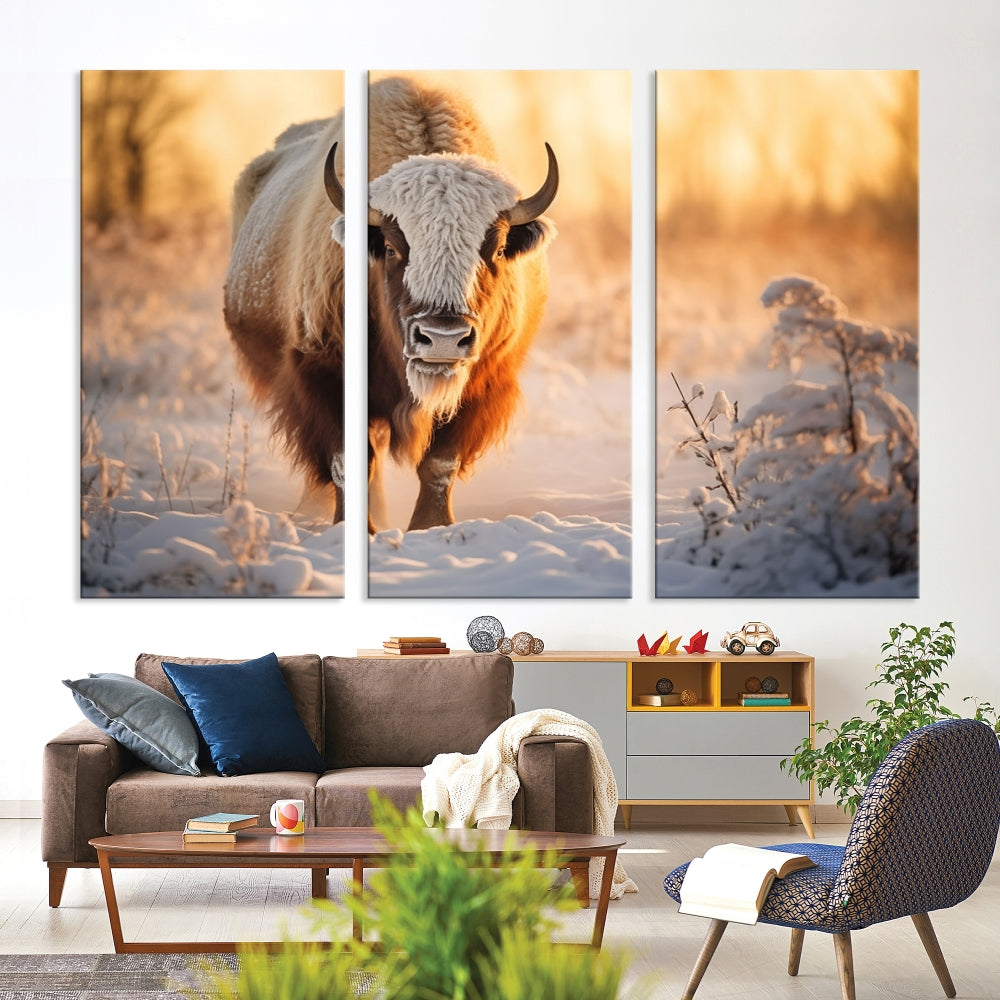 Bison at Sunrise Art Print Alaska Wildlife American Animal Canvas Wall Art