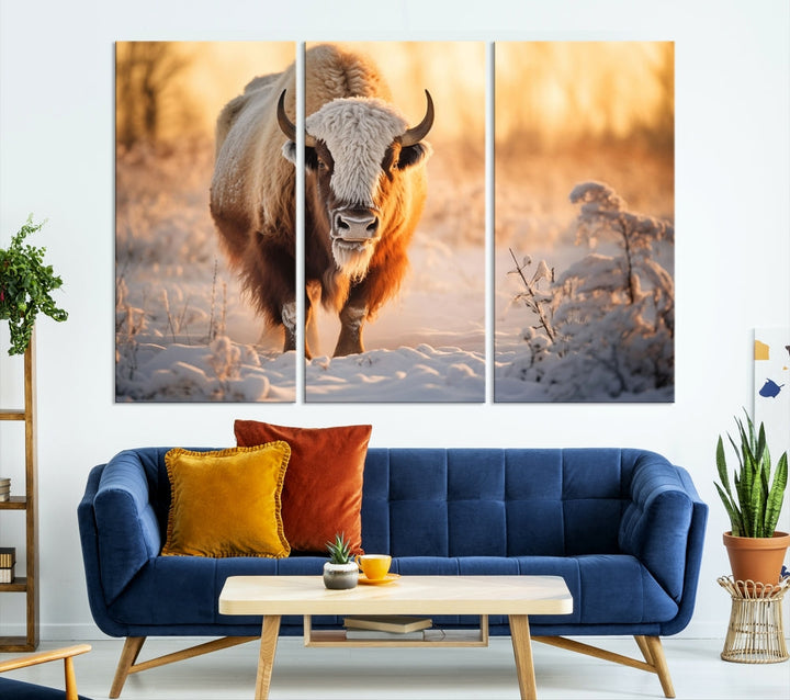 Bison at Sunrise Art Print Alaska Wildlife American Animal Canvas Wall Art