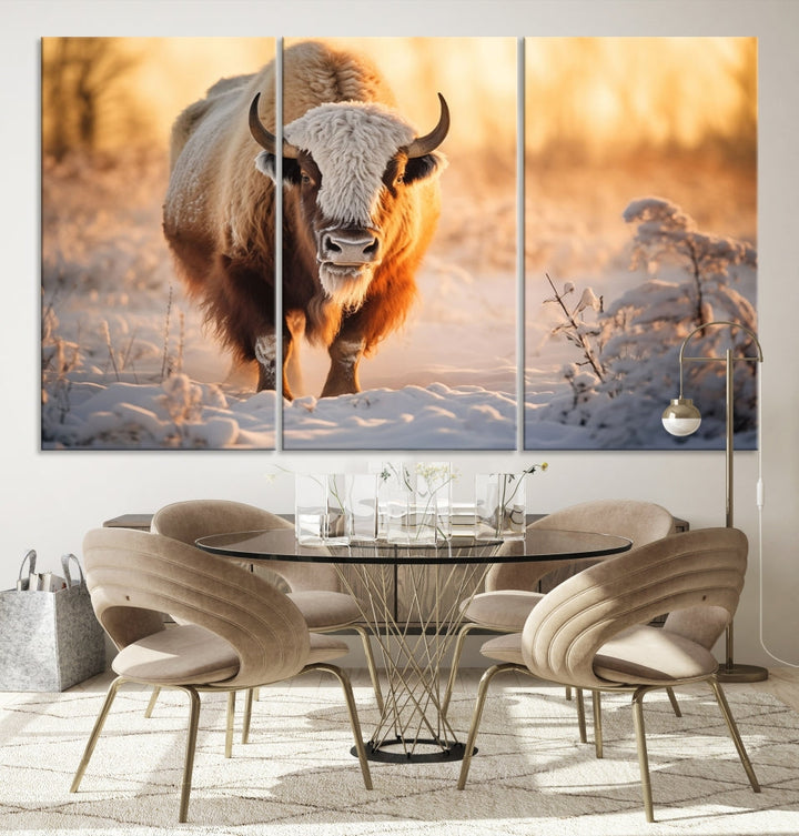 Bison at Sunrise Art Print Alaska Wildlife American Animal Canvas Wall Art