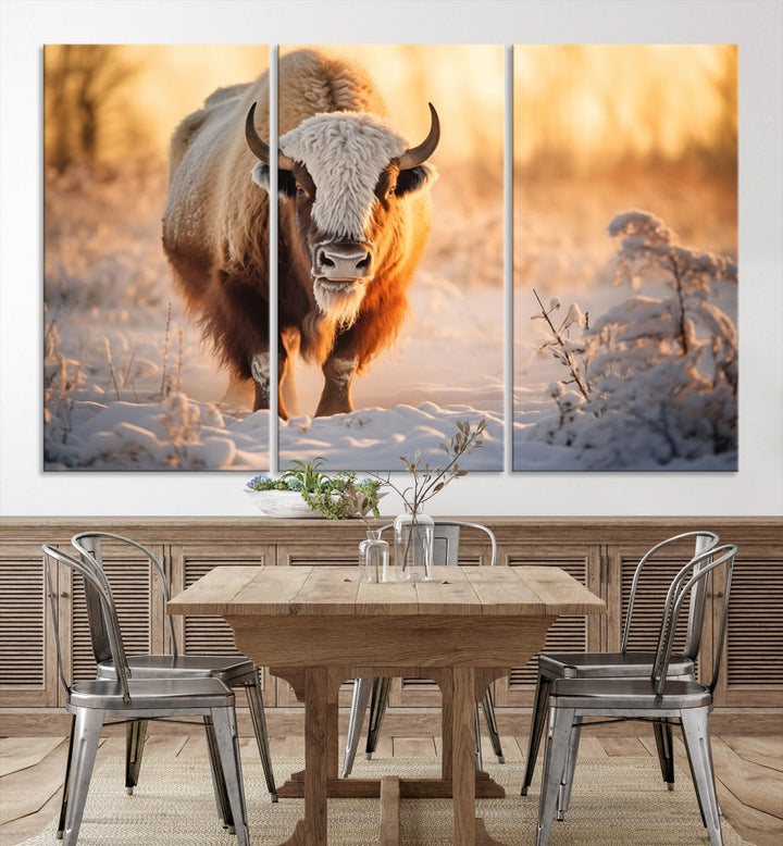 Bison at Sunrise Art Print Alaska Wildlife American Animal Canvas Wall Art