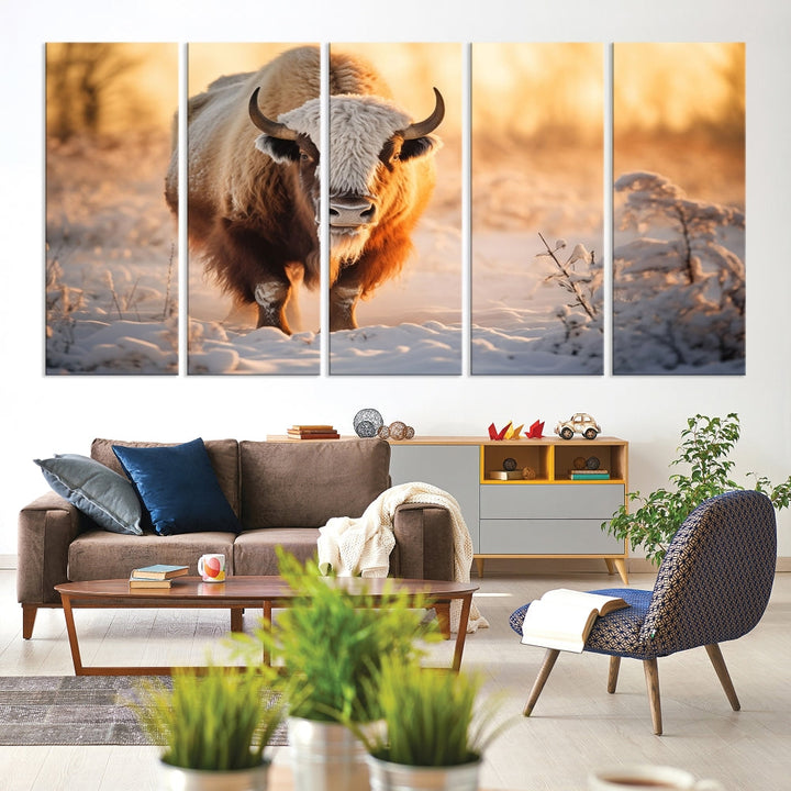 Bison at Sunrise Art Print Alaska Wildlife American Animal Canvas Wall Art