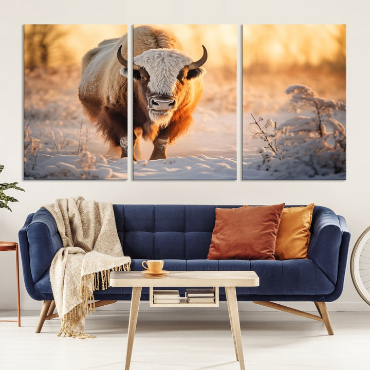 Bison at Sunrise Art Print Alaska Wildlife American Animal Canvas Wall Art