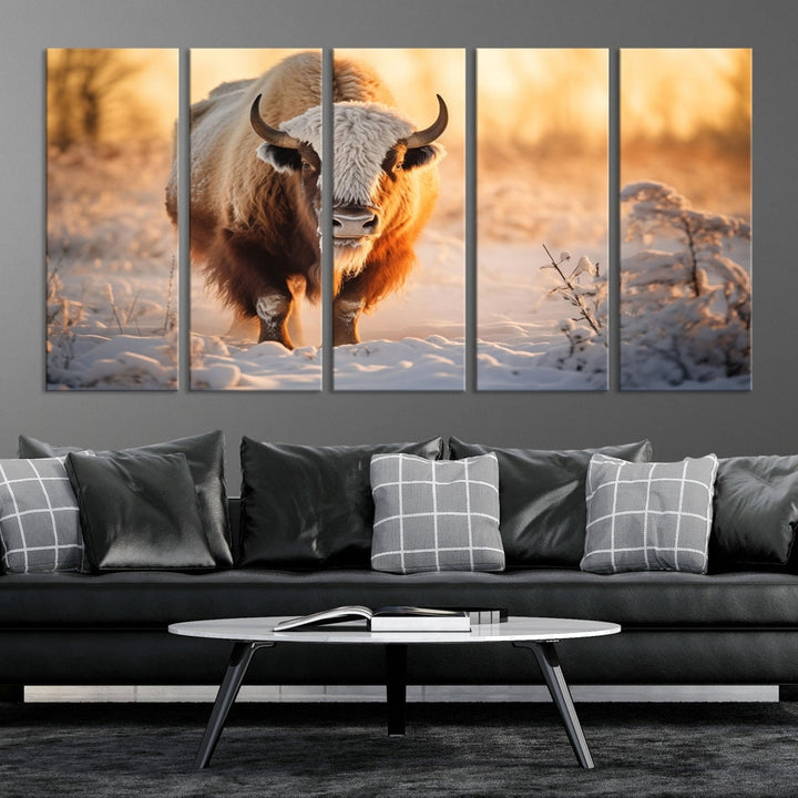 Bison at Sunrise Art Print Alaska Wildlife American Animal Canvas Wall Art