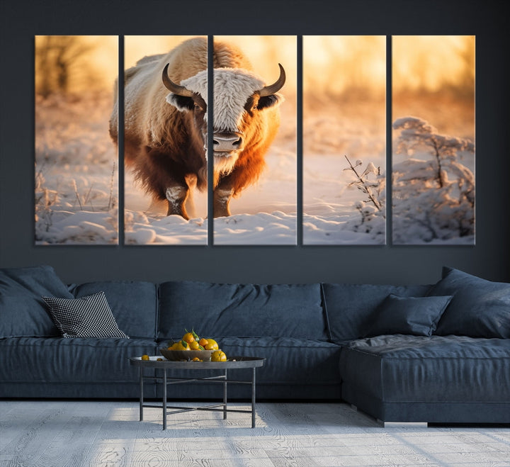 Bison at Sunrise Art Print Alaska Wildlife American Animal Canvas Wall Art