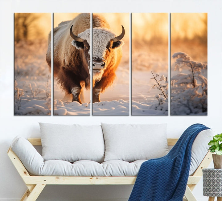 Bison at Sunrise Art Print Alaska Wildlife American Animal Canvas Wall Art