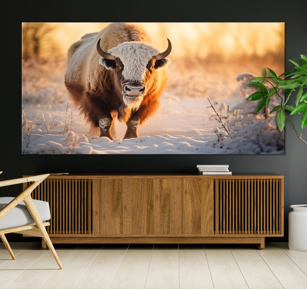 Bison at Sunrise Art Print Alaska Wildlife American Animal Canvas Wall Art