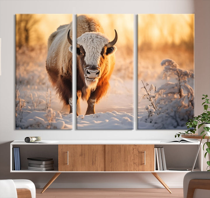 Bison at Sunrise Art Print Alaska Wildlife American Animal Canvas Wall Art