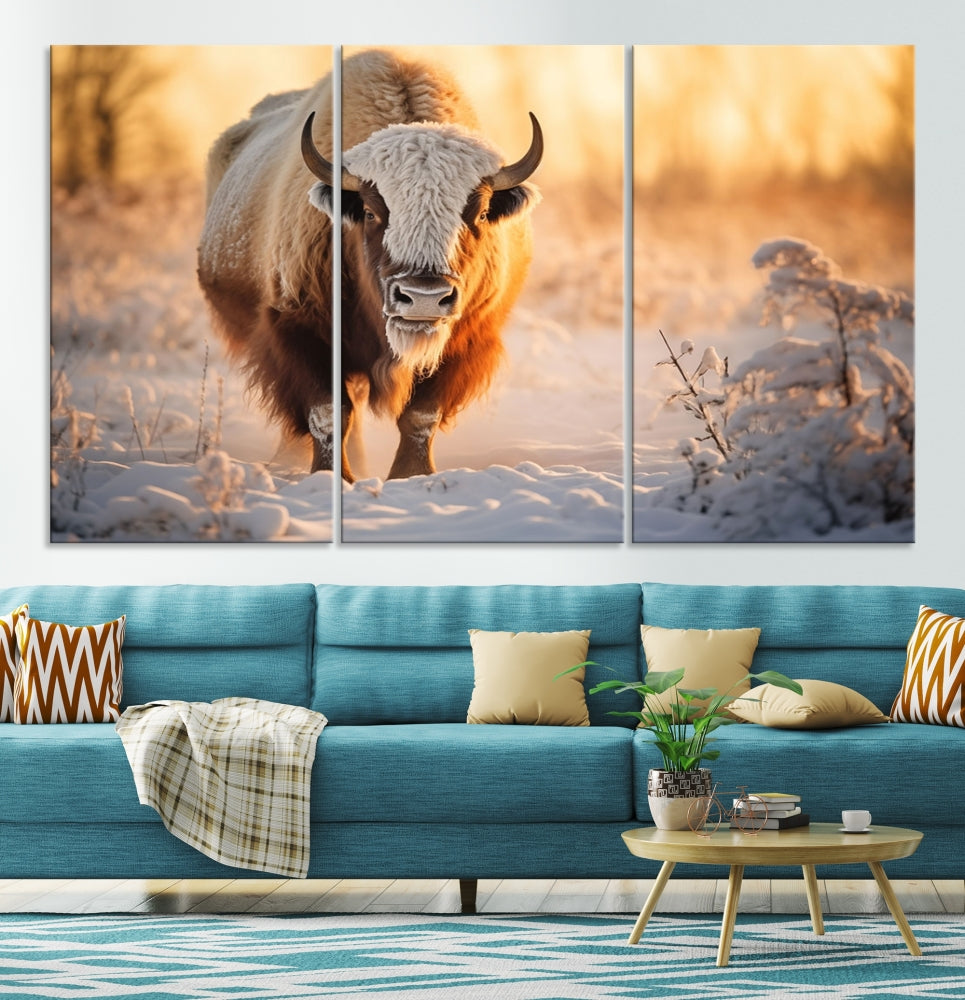 Bison at Sunrise Art Print Alaska Wildlife American Animal Canvas Wall Art