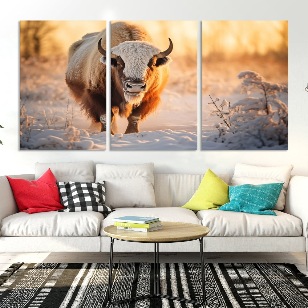 Bison at Sunrise Art Print Alaska Wildlife American Animal Canvas Wall Art