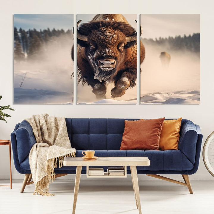 Bison Print Canvas Wall Art Wildlife Photography Printed Art