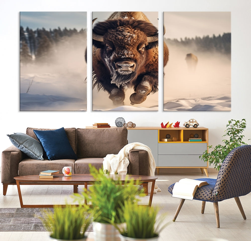 Bison Print Canvas Wall Art Wildlife Photography Printed Art