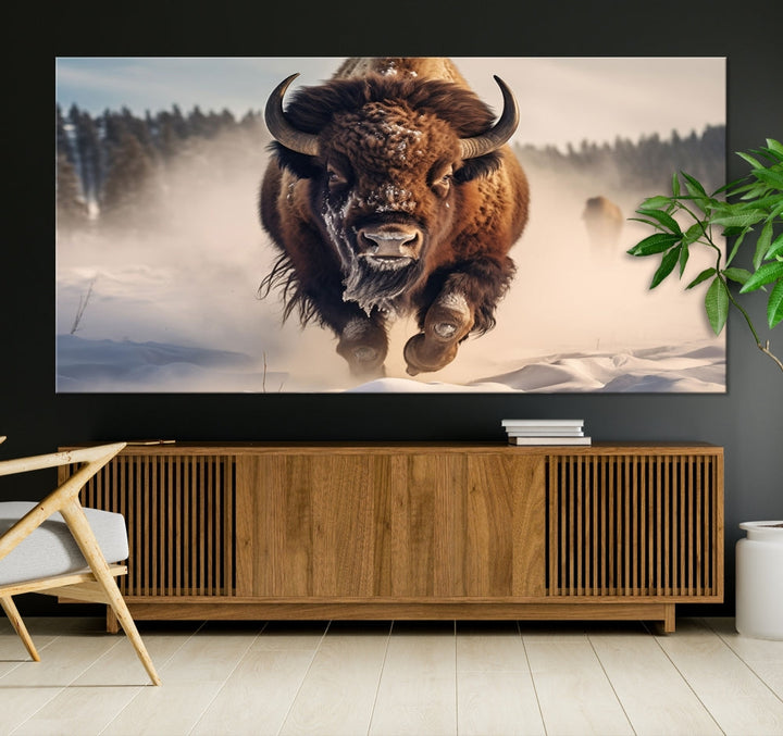 Bison Print Canvas Wall Art Wildlife Photography Printed Art