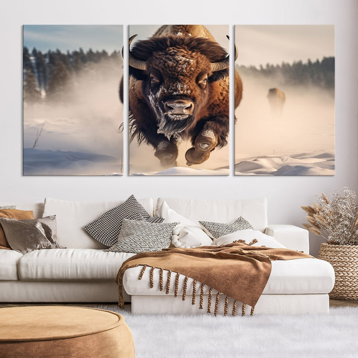 Bison Print Canvas Wall Art Wildlife Photography Printed Art