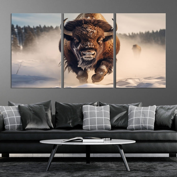 Bison Print Canvas Wall Art Wildlife Photography Printed Art