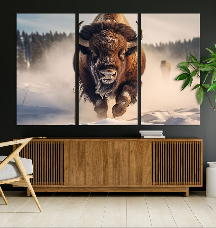 Bison Print Canvas Wall Art Wildlife Photography Printed Art