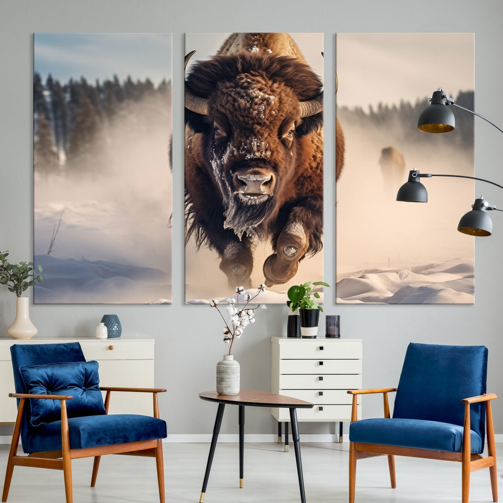 Bison Print Canvas Wall Art Wildlife Photography Printed Art