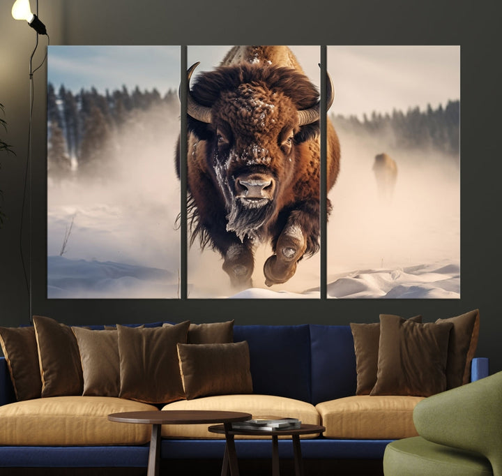 Bison Print Canvas Wall Art Wildlife Photography Printed Art