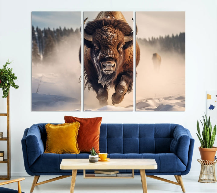 Bison Print Canvas Wall Art Wildlife Photography Printed Art