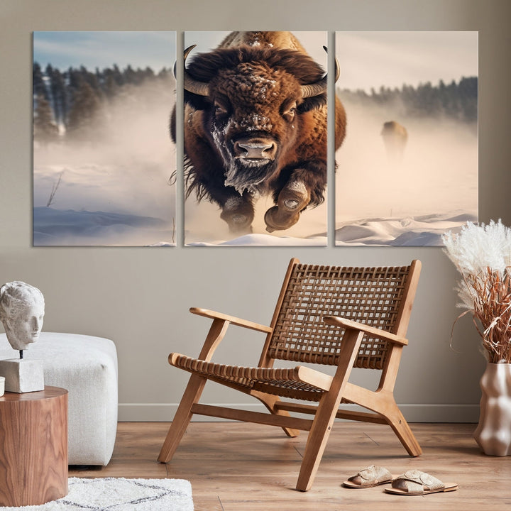 Bison Print Canvas Wall Art Wildlife Photography Printed Art