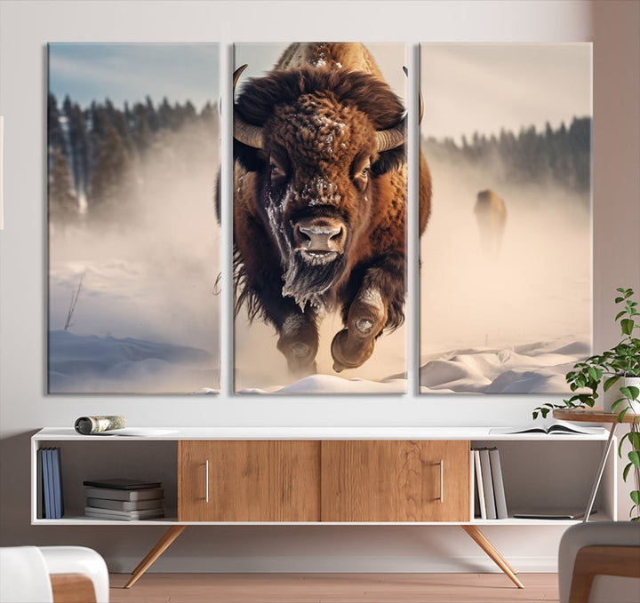 Bison Print Canvas Wall Art Wildlife Photography Printed Art