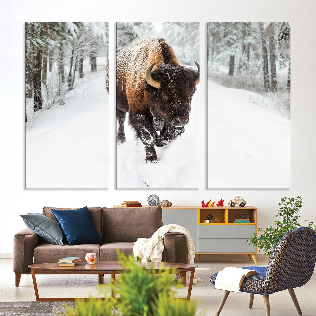 Bison Wall Art Canvas Print Winter