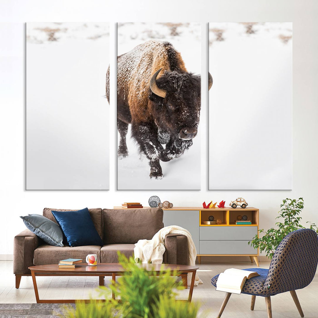 Bison Wall Art Canvas Print Winter