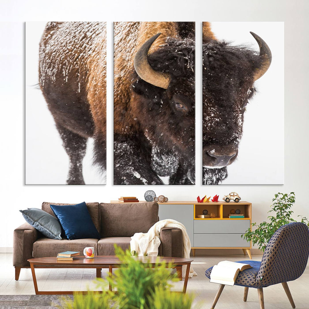 Bison Wall Art Canvas Print Winter