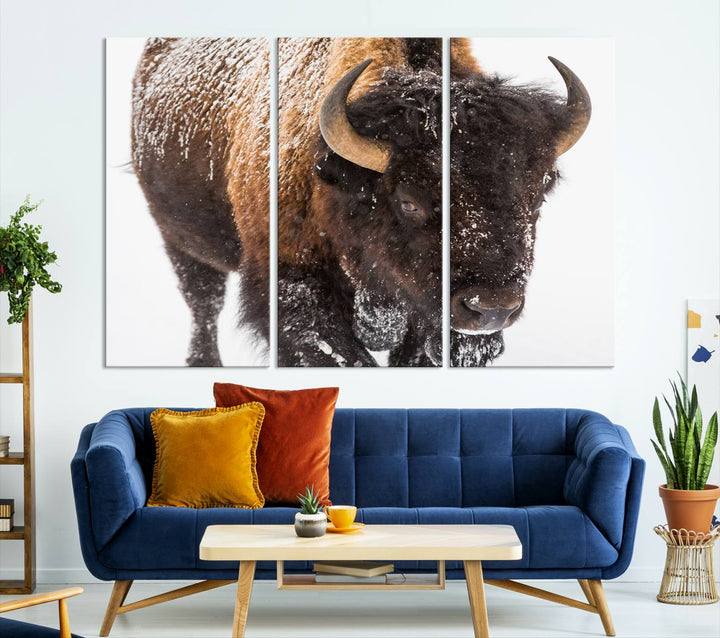 Bison Wall Art Canvas Print Winter