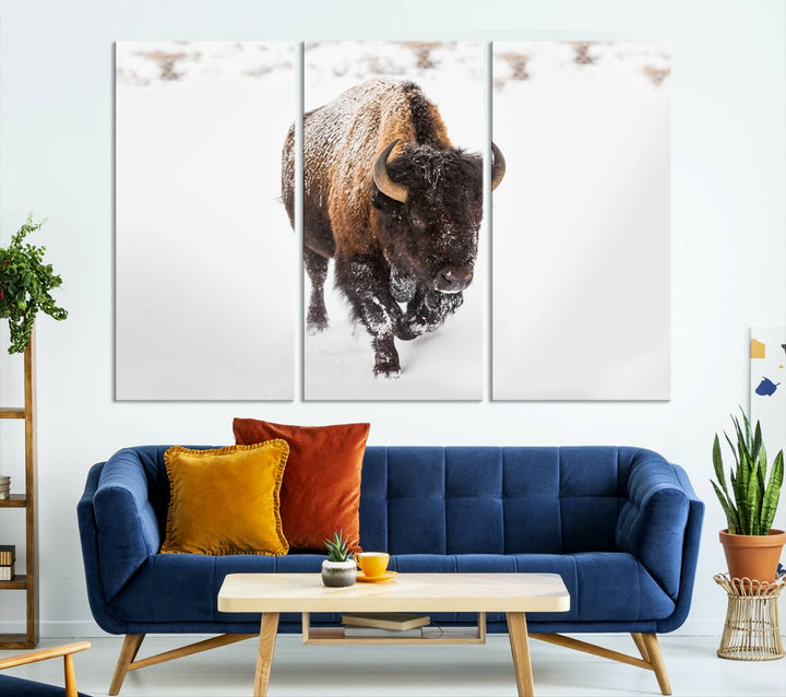 Bison Wall Art Canvas Print Winter