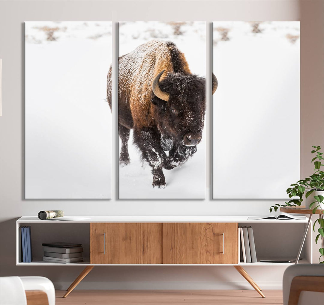 Bison Wall Art Canvas Print Winter