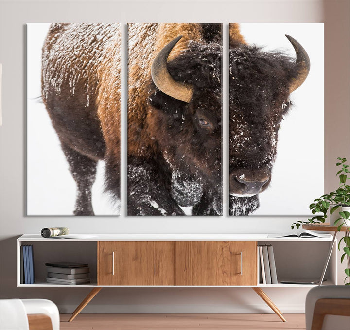 Bison Wall Art Canvas Print Winter