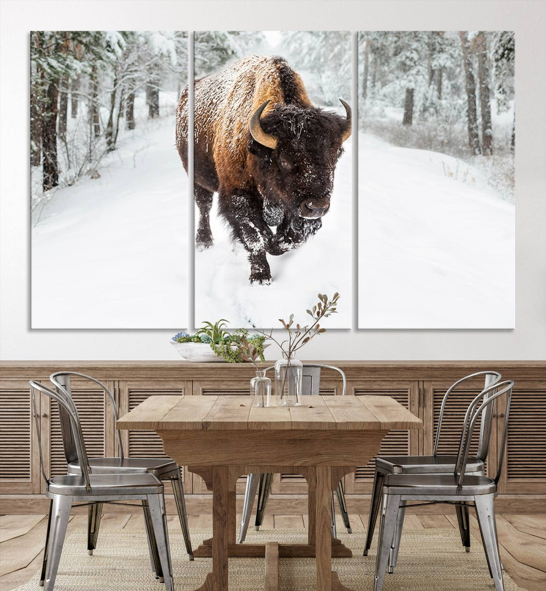 Bison Wall Art Canvas Print Winter