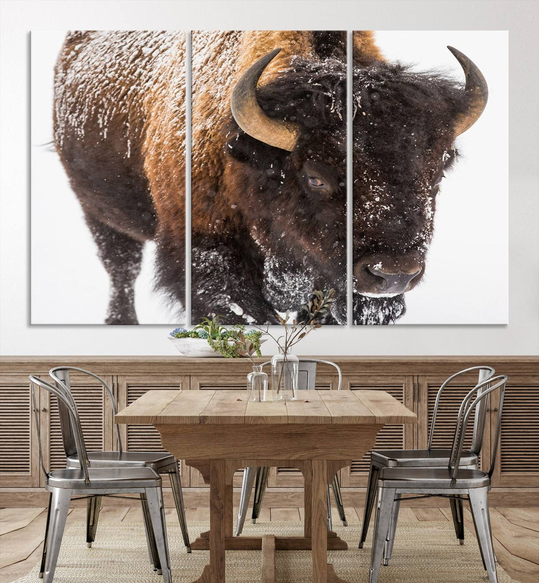 Bison Wall Art Canvas Print Winter