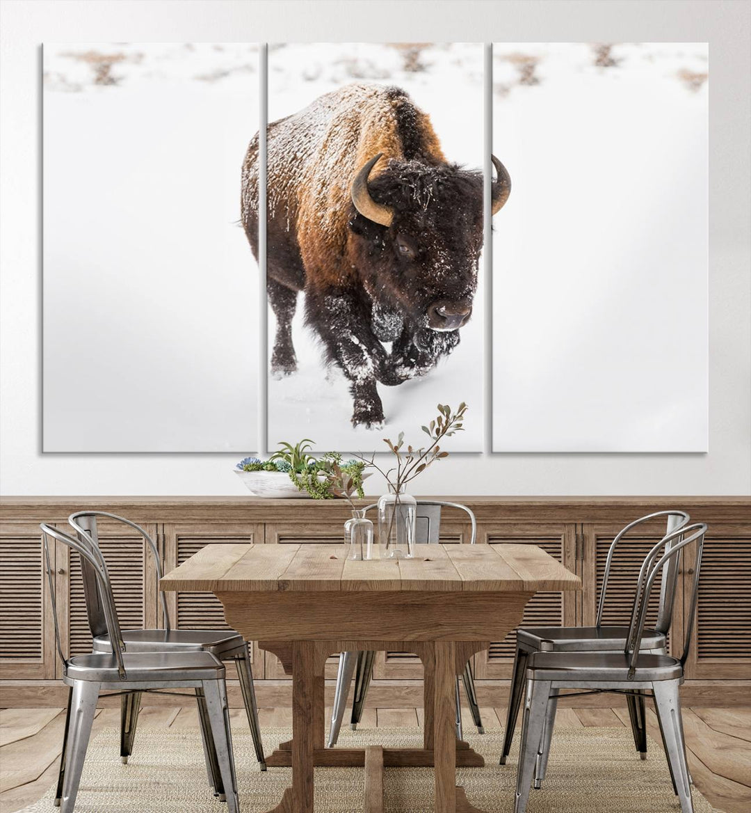 Bison Wall Art Canvas Print Winter