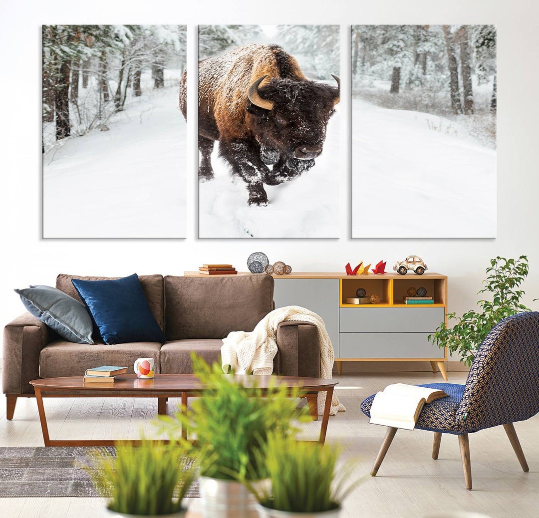 Bison Wall Art Canvas Print Winter