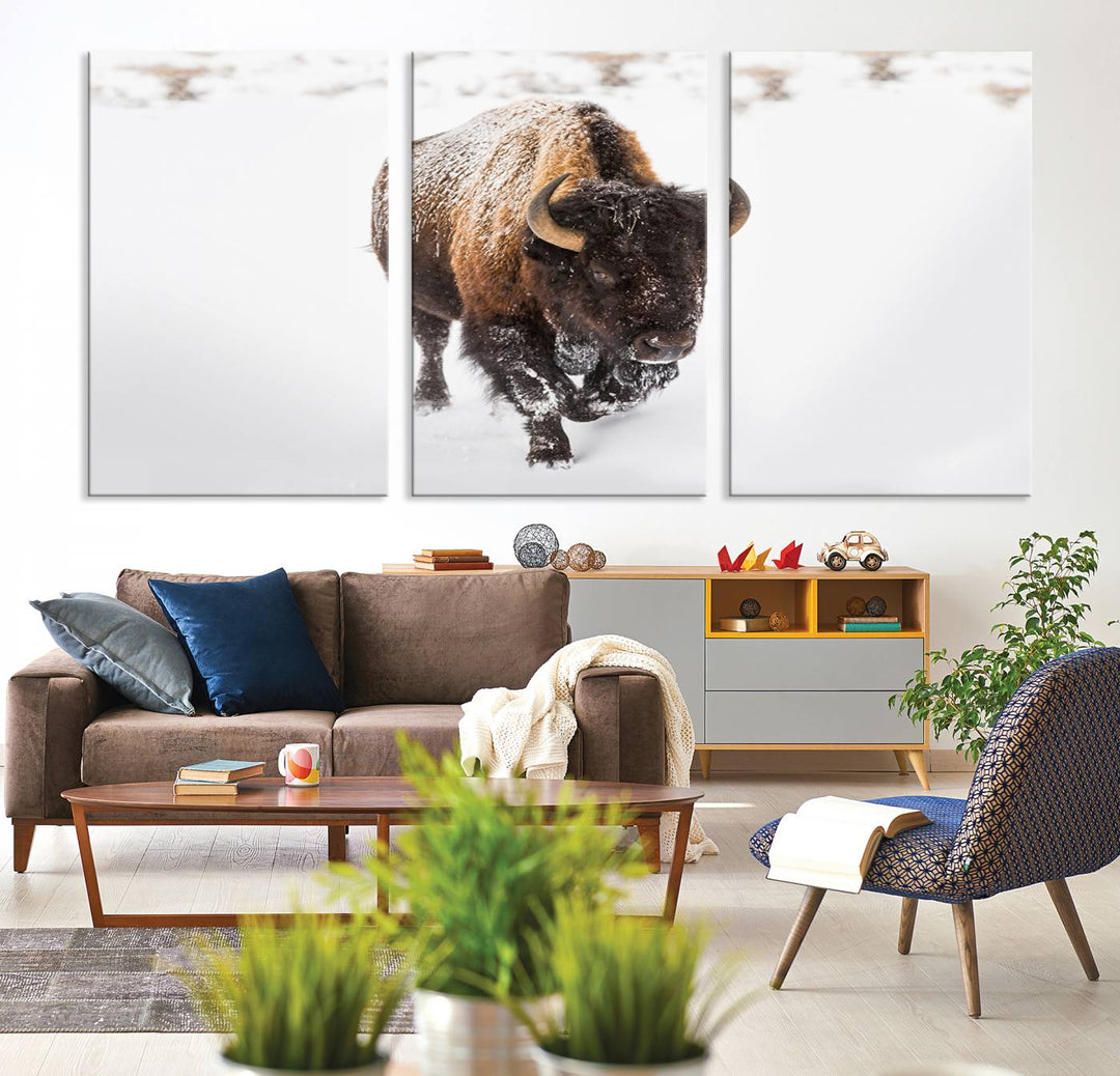 Bison Wall Art Canvas Print Winter