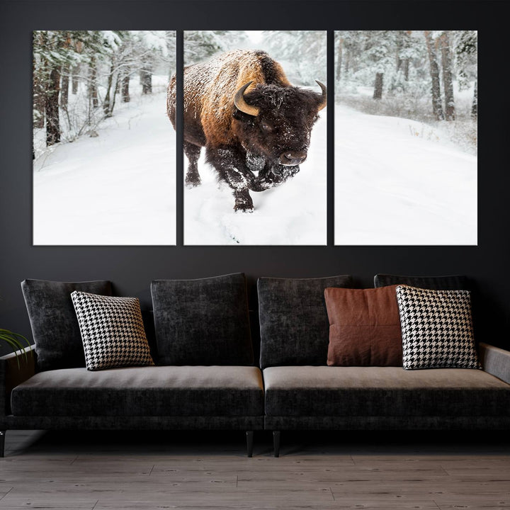 Bison Wall Art Canvas Print Winter