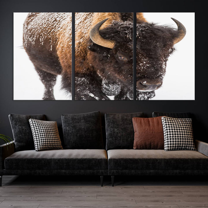 Bison Wall Art Canvas Print Winter