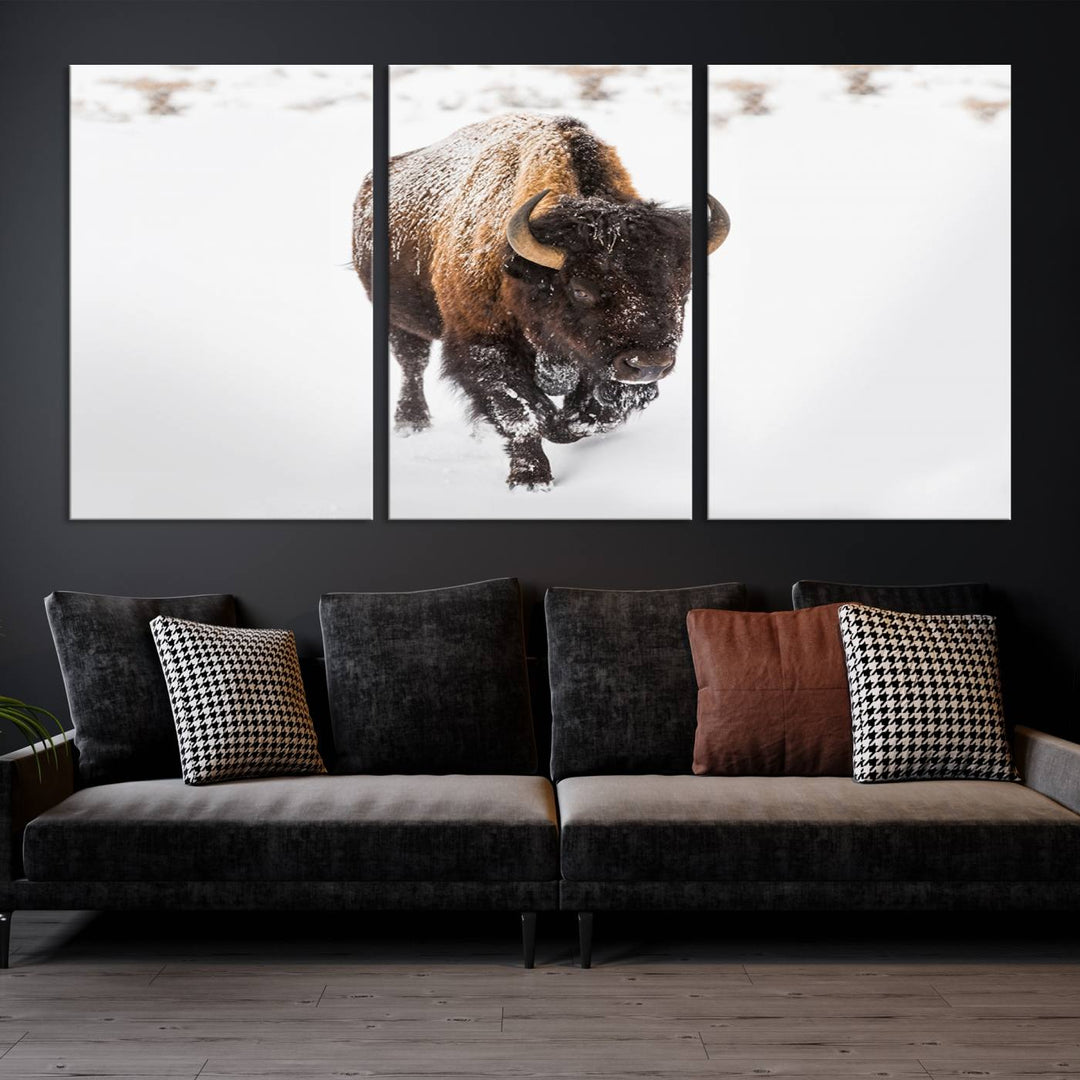 Bison Wall Art Canvas Print Winter