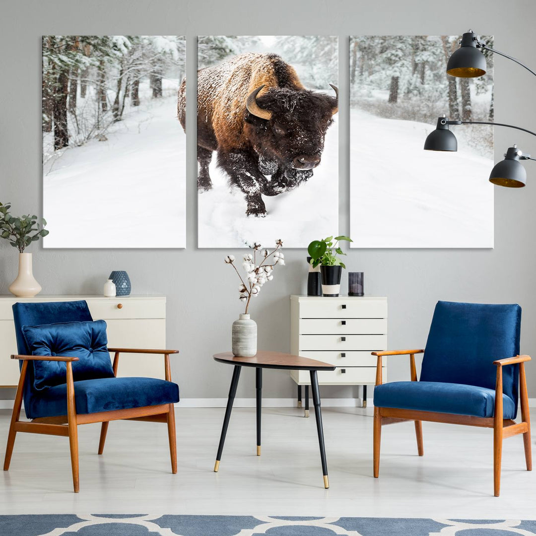 Bison Wall Art Canvas Print Winter