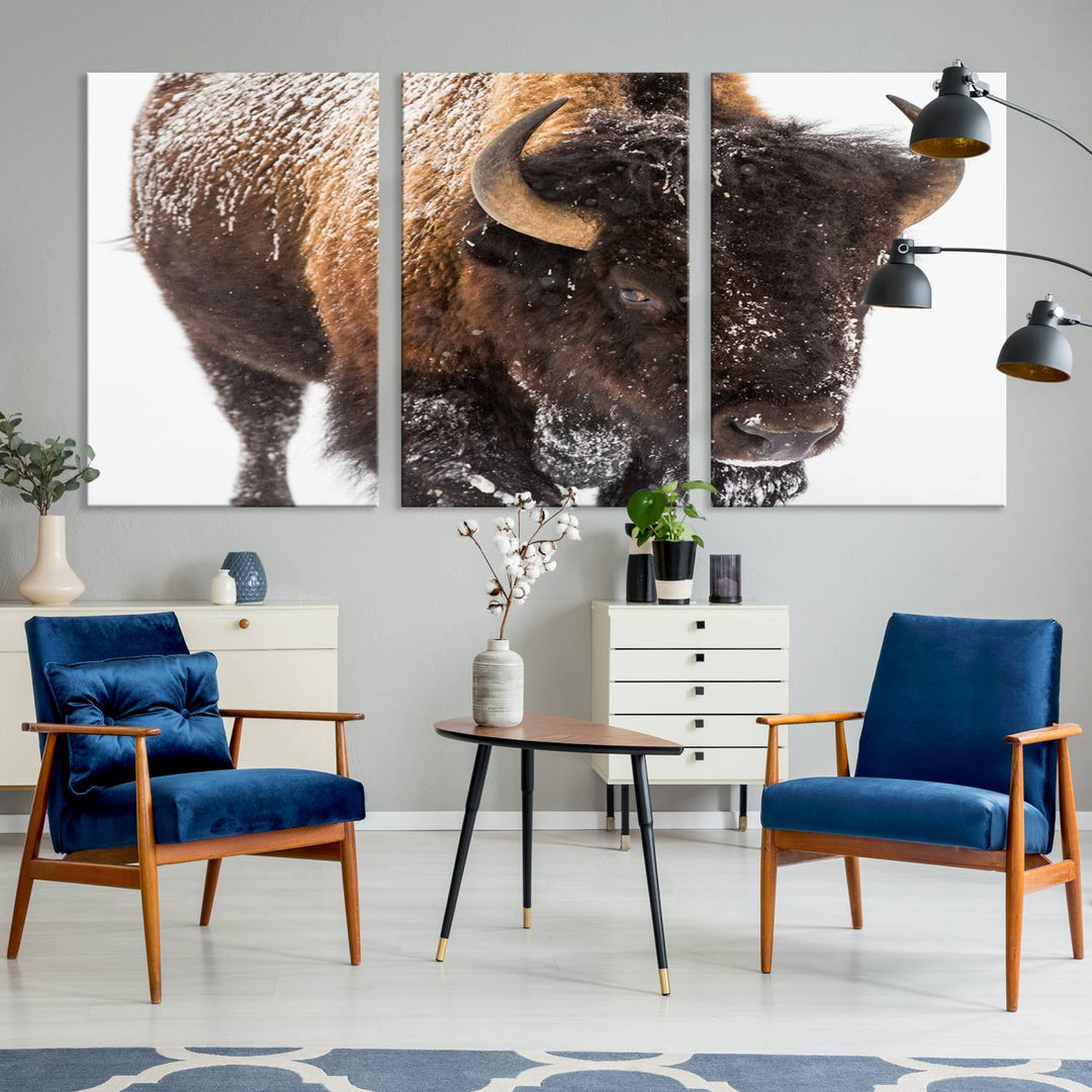 Bison Wall Art Canvas Print Winter