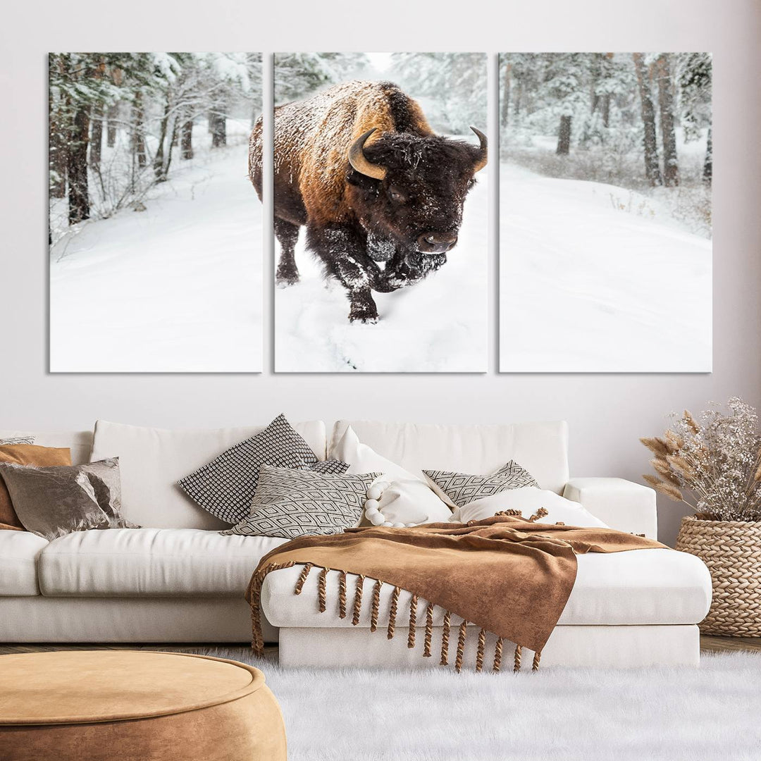 Bison Wall Art Canvas Print Winter