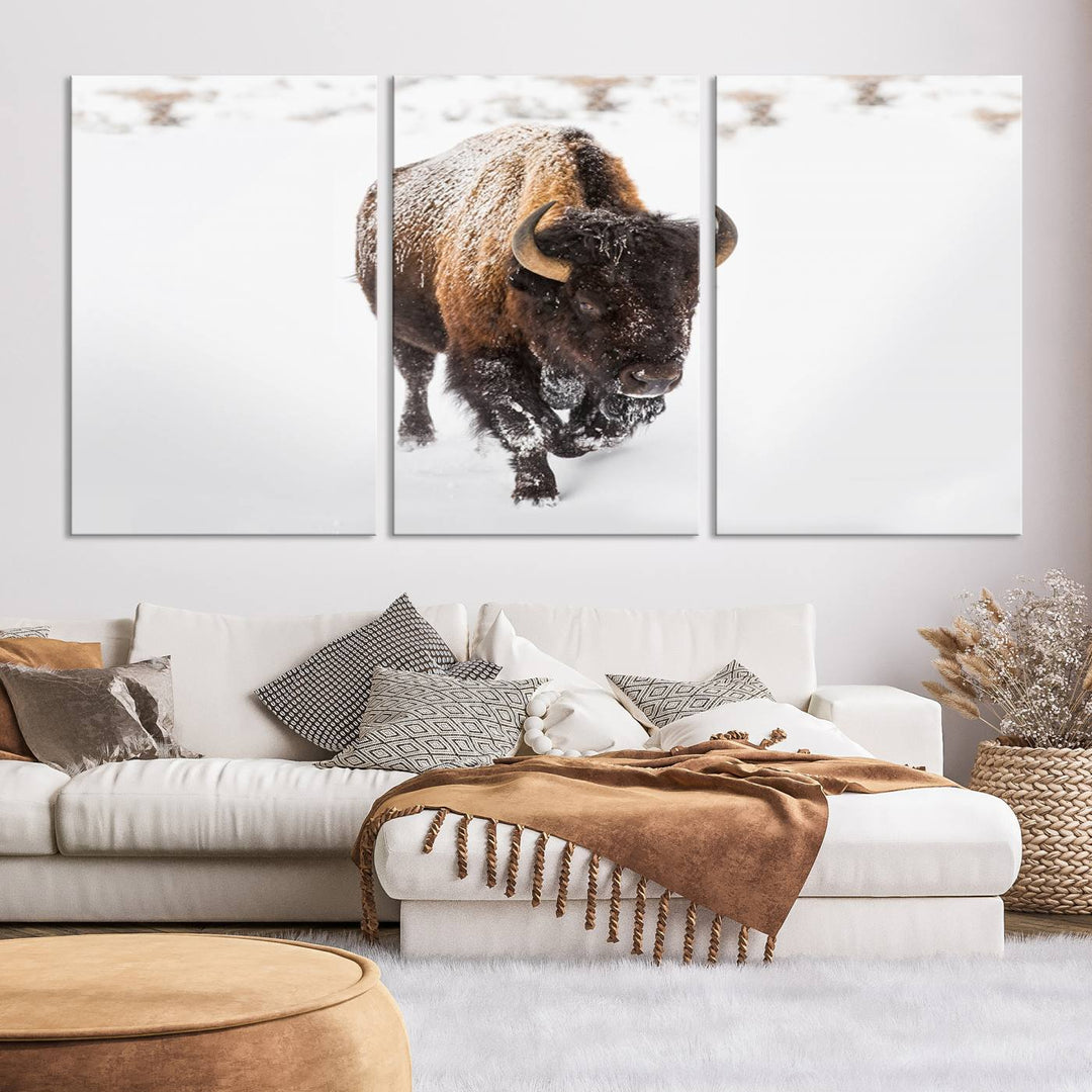 Bison Wall Art Canvas Print Winter