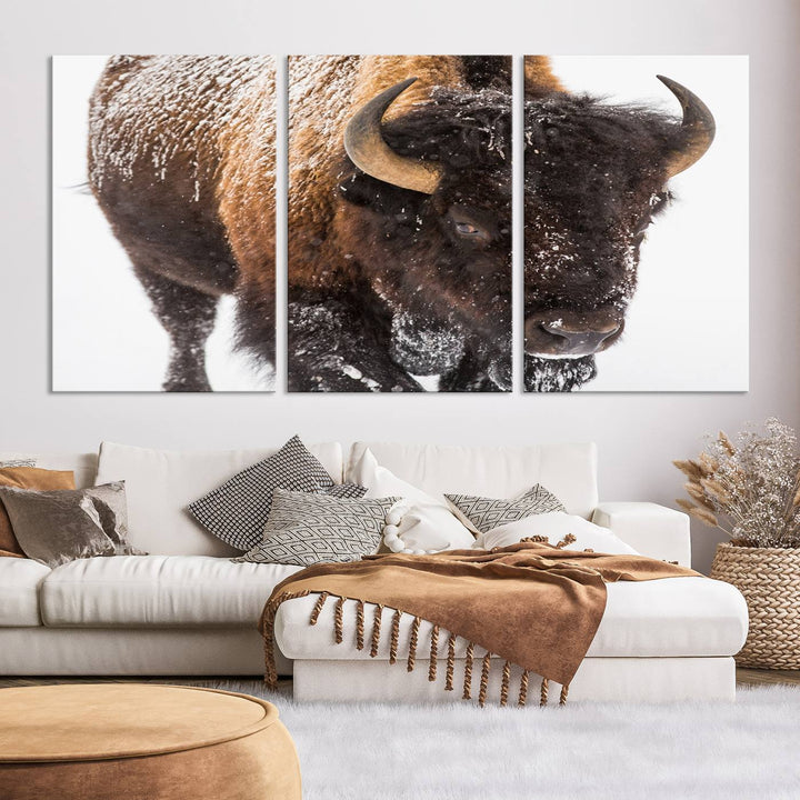 Bison Wall Art Canvas Print Winter