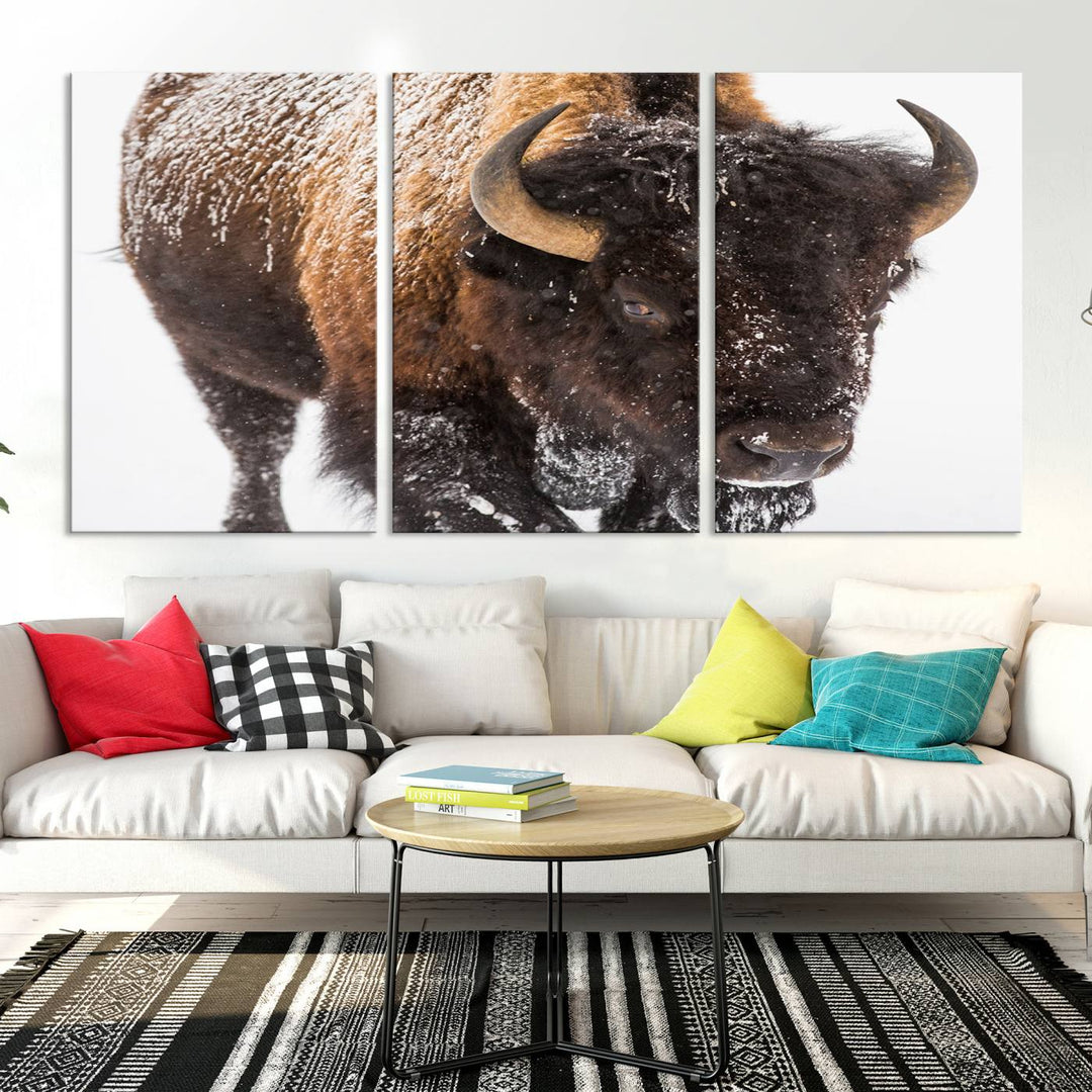 Bison Wall Art Canvas Print Winter