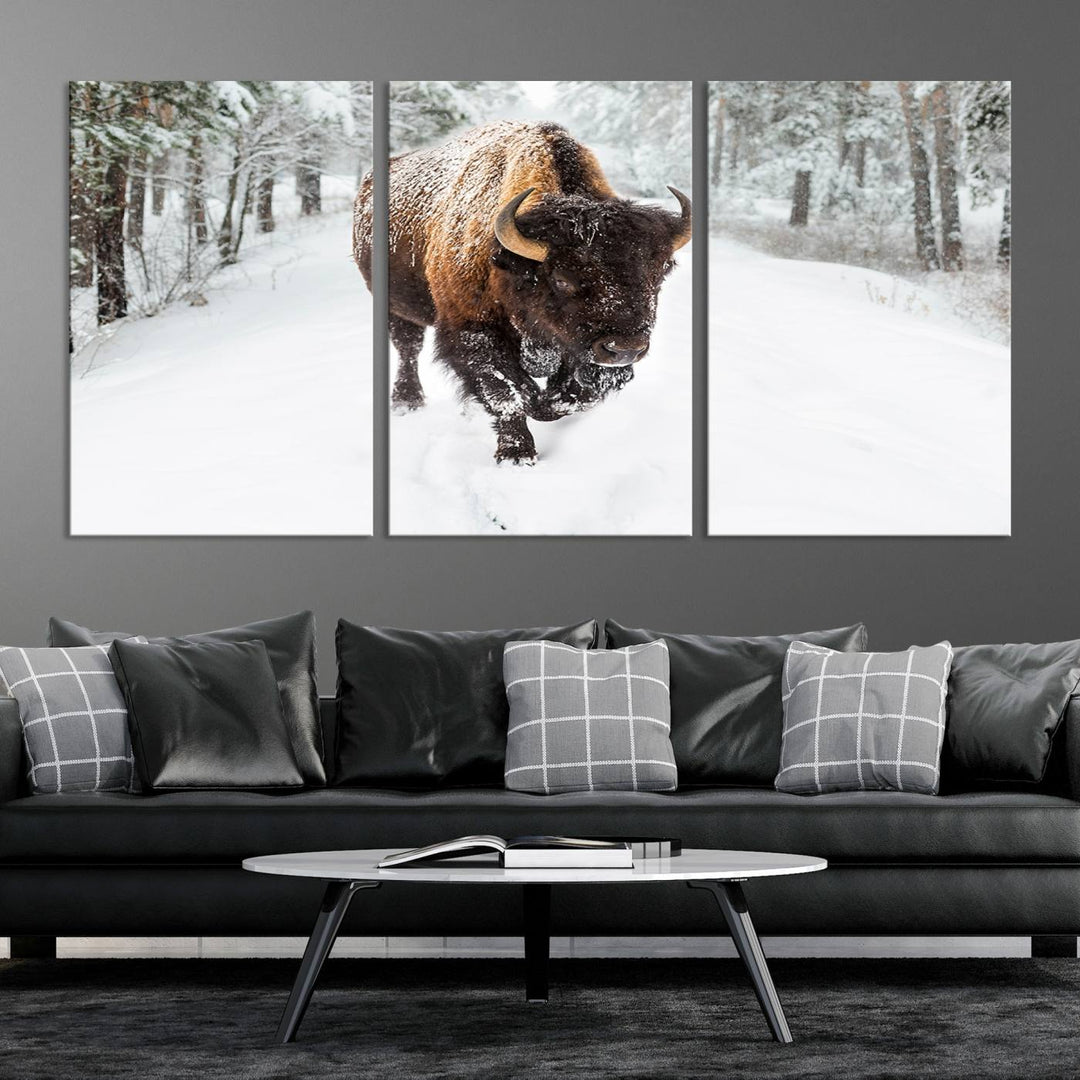 Bison Wall Art Canvas Print Winter