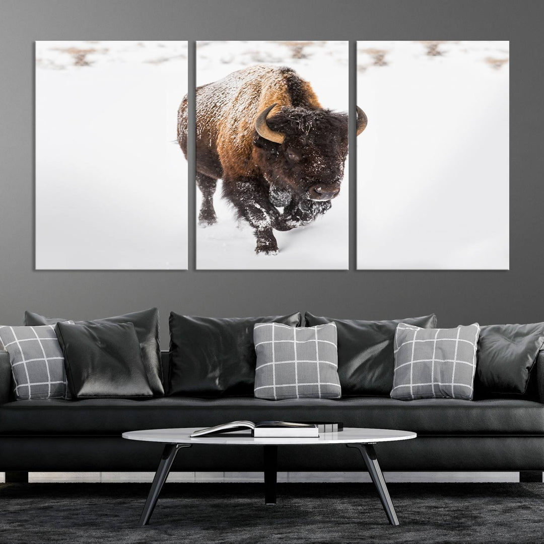 Bison Wall Art Canvas Print Winter