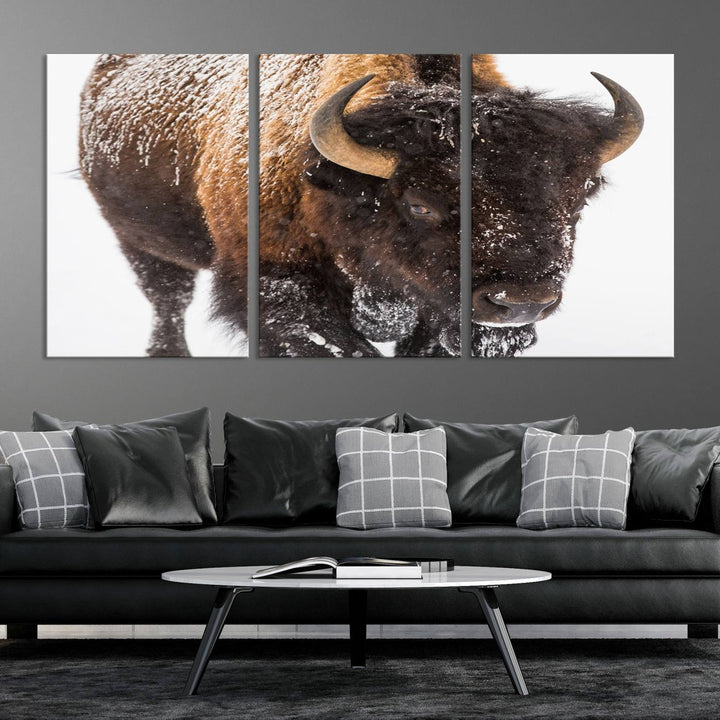 Bison Wall Art Canvas Print Winter