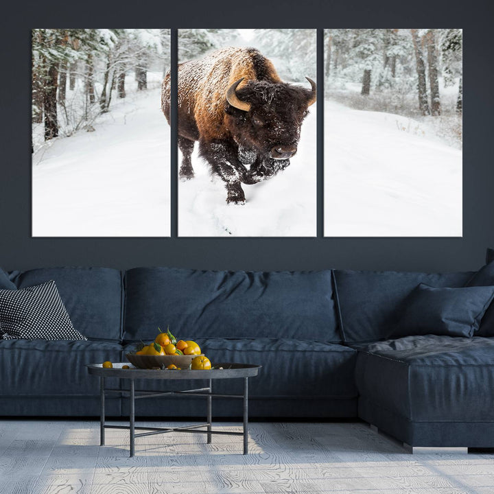 Bison Wall Art Canvas Print Winter