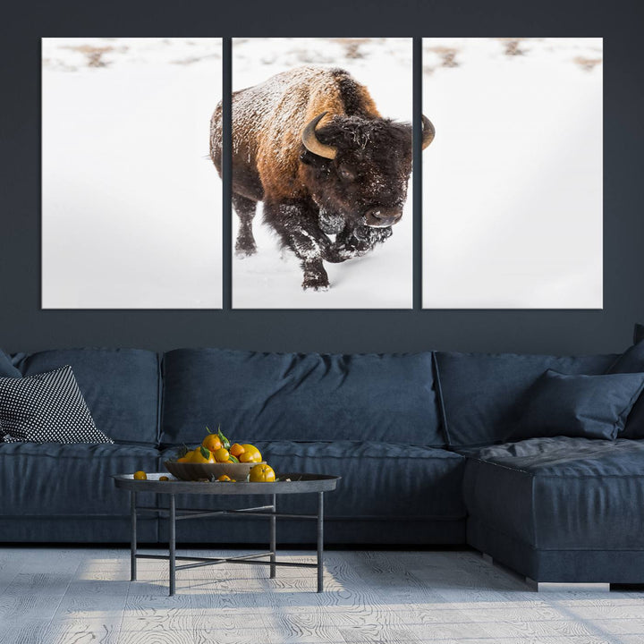 Bison Wall Art Canvas Print Winter